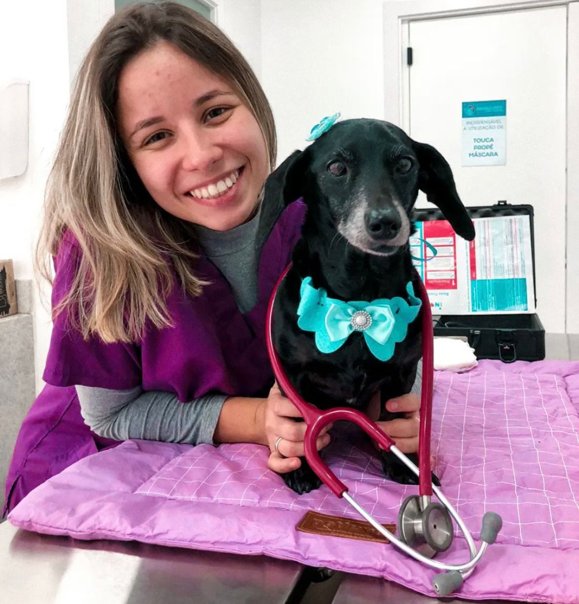 Consulta veterinária na Mini Mundo Pet